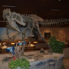 De allosaurus, een gigantische vleesetende dinosaurus