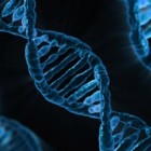 Het humane genoom project (human genome project)