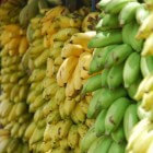 De Zwarte Sigatoka: een hardnekkige bananenschimmel