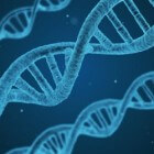 DNA en onderzoek