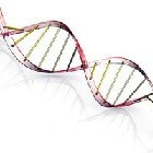Wat is genetische modificatie of genetische manipulatie?