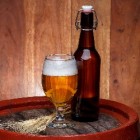 Bier helpt tegen kanker