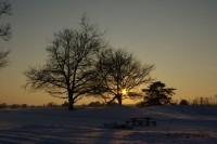 zonsondergang sneeuwlandschap / Bron: ottergraafjes