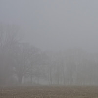 Stratus geeft dichte mist