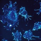 Het ontstaan van kankercellen