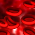 Het AB0-bloedgroepensysteem