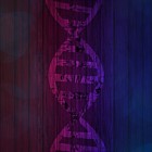 De functie van allelen op DNA in de genetica