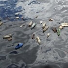 The Ocean Cleanup-project, het aanpakken van de plastic soep