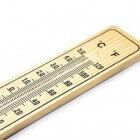 Thermometers en Thermometerschalen
