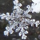 Prachtige sneeuw- en ijskristallen