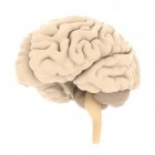 Neurofeedback: controle krijgen over je hersengolven