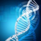 Wat is DNA en wat zijn chromosomen?