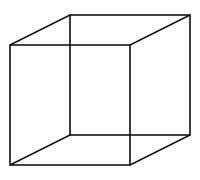 Bron: Https://commons.wikimedia.org/wiki/File:Necker_cube.svg?uselang=nl