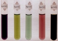 Verschillende oxidatie toestanden van neptunium in verdunde perchloorzuuroplossing behalve Np (VII), die in geconcentreerde carbonaat oplossing (DE Hobart en PD Palmer, Los Alamos National Laboratory) / Bron: GrrlScientist, Flickr (CC BY-2.0)