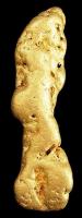 Grote goudklomp gevonden in Alaska, gewicht 77gram / Bron: Rob Lavinsky / iRocks.com, Wikimedia Commons (CC BY-SA-3.0)