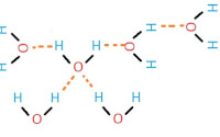  Afb. 1. Waterstofbruggen tussen watermoleculen. Met een oranje stippellijn staat de waterstofbrug weergegeven. 
