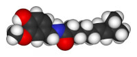 Capsaïcine molecuul in 3D / Bron: Publiek domein, Wikimedia Commons (PD)
