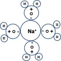 Gehydrateerd Na<SUP>+</SUP>-ion