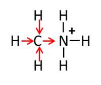 methylamine-ion
