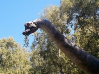 De Brachiosaurus at bladeren van hoge bomen. / Bron: Eunostos, Wikimedia Commons (CC BY-SA-4.0)