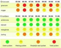 Pollenverwachting voor Amsterdam van 5 tot 11 juni 2009  / Bron: Screenshot