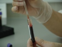 DNA-tests worden altijd met uiterste zorg in laboratoria uitgevoerd. / Bron: PublicDomainPictures, Pixabay