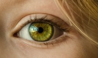Het fenotype en het genotype van dit oog is groen. / Bron: Skitterphoto, Pixabay