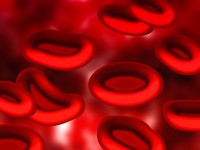 Rode bloedlichaampjes (erytrocyten) / Bron: Geralt, Pixabay