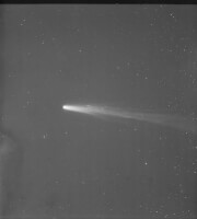 Komeet Halley, Peru, 1910 / Bron: Harvard College Observatory, Wikimedia Commons (Publiek domein)