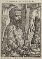 Andreas Vesalius (1514-1564) / Bron: Attributed to Jan van Calcar, Wikimedia Commons (Publiek domein)