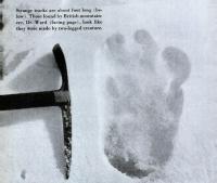 Vermeende voetafdruk van de Yeti, aangetroffen bij de Menlung-gletcher (1951) door Eric Shipton / Bron: Gardner Soule, Wikimedia Commons (Publiek domein)