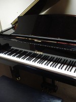 Pianospel vereist fijne motoriek / Bron: Alton, Wikimedia Commons (CC BY-3.0)