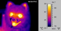 <I>Beeld gemaakt met infraroodcamera</I> / Bron: NASA IPAC, Wikimedia Commons (Publiek domein)
