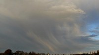Verticale wolk of buienwolk met neerslagstrepen (Virga)