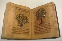 Arabische kopie uit de 13e eeuw / Bron: PHGCOM, Wikimedia Commons (Publiek domein)
